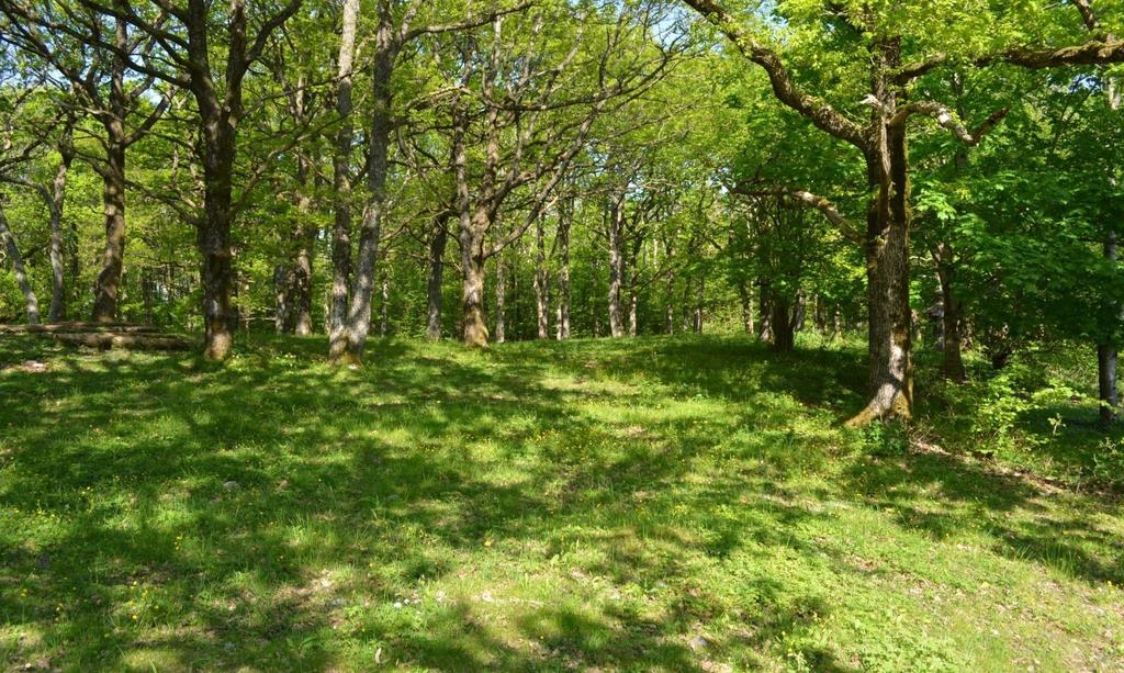 8 Kunnskapsgrunnlaget Offentlige beslutninger som berører naturmangfoldet skal så langt det er rimelig bygge på vitenskapelig kunnskap om arters bestandssituasjon, naturtypers utbredelse og