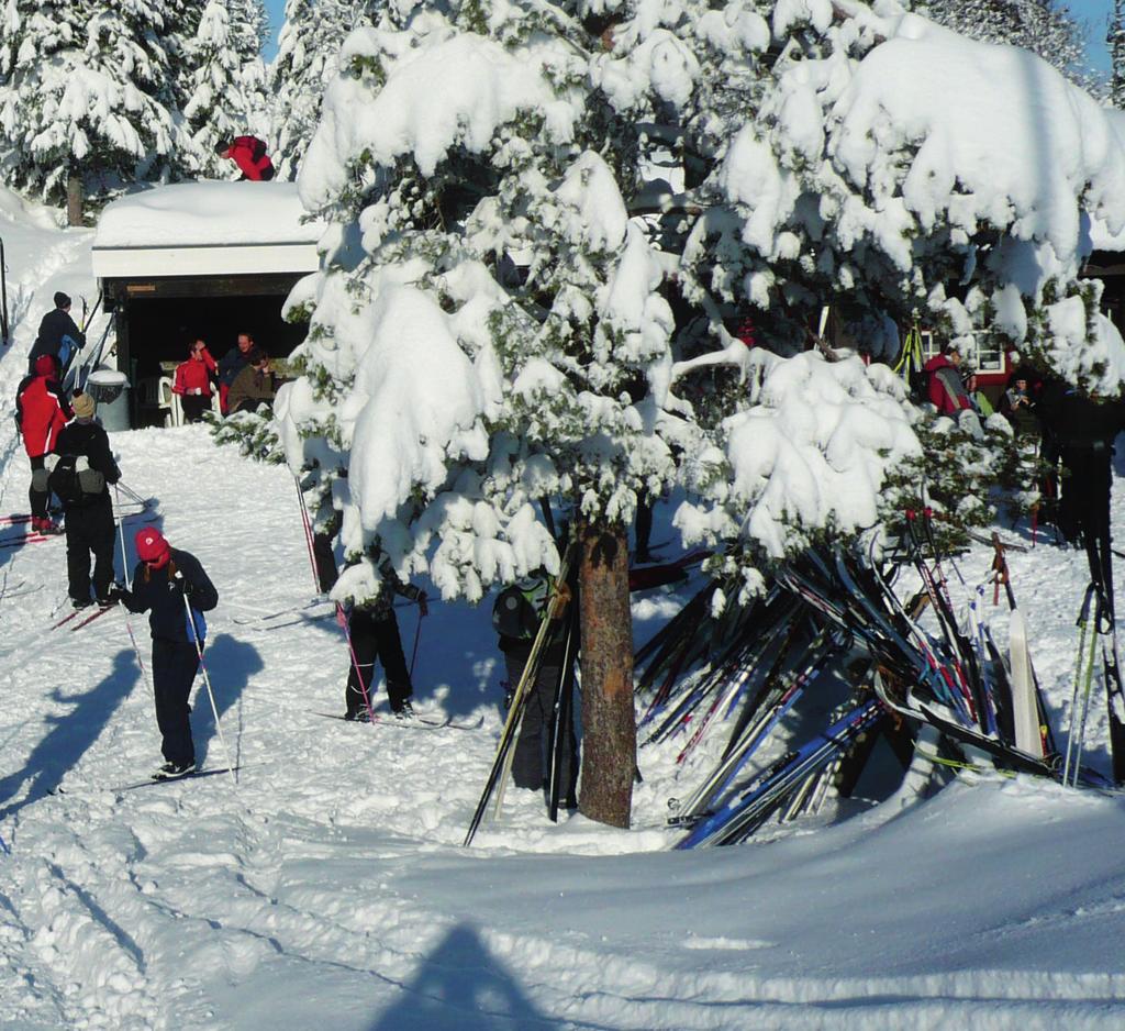 ! Trondhjems Skiklub ønsker god tur! Støtt Skiklubben med ditt medlemskap! Trondhjems Skiklub har gjennom mer enn 130 år vært byens ledende tilrettelegger av friluftsaktiviteter i Trondheimsregionen.