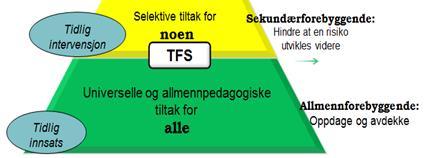 Velferdsbarnevern Risiko kjerne