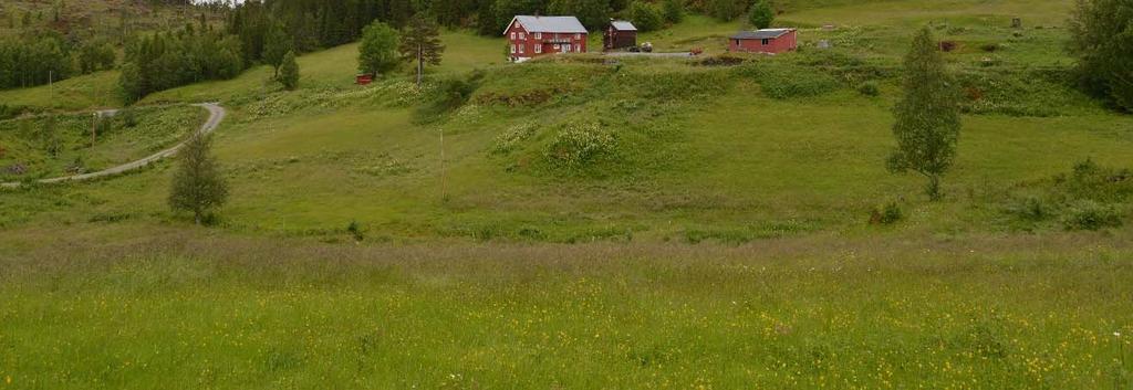 Slåttemark 1 på nordsiden av vegen, sett fra vest mot sør øst.