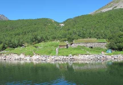 04 Hammerhøa vest (Oppdal), skogsbeite med gras- og urterik vegetasjon og mange halvåpne