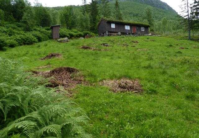 Her sett fra øst mot vest. Foto: UH.