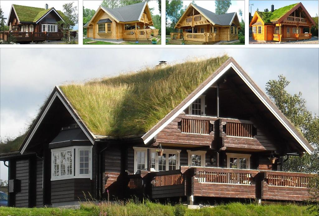 Her er noen av hyttene Tauno står bak. Den neste kan bli din. Foto: Finnhaus. Tauno har bygget 370 tømmerhus Det har han klart fordi finsk kvalitet og personlig oppfølging gir fornøyde kunder.