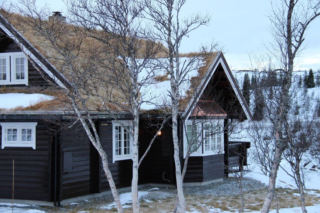 Hytta til Arild er klar til vinteren. Foto: Arild Kraft. - Også den påfølgende byggeprosessen gikk på skinner.