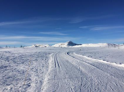 UKE 4 FEBRUAR Elevsamtaler/utviklingssamtaler 8. og 9 gjennomføres februar/mars UKE 5 tirsdag 30.01 NOVA-undersøkelsen gjennomføres på 10. trinn i UDV-tid se egen info. torsdag 1.02 FAUMØTE kl. 18 19.