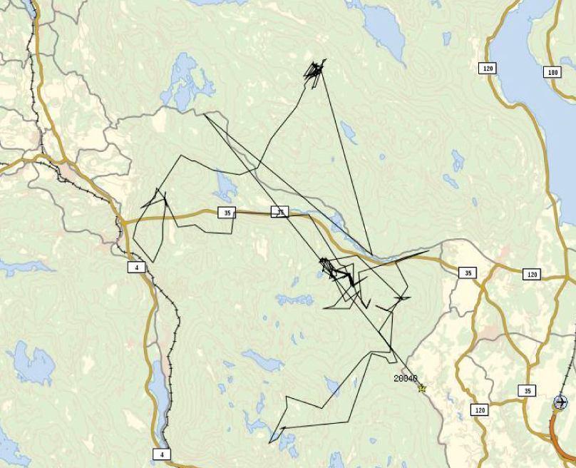 - Utrolig fint hjelpemiddel som gjør det enkelt å oppsøke sauene for å se om alt er ok.