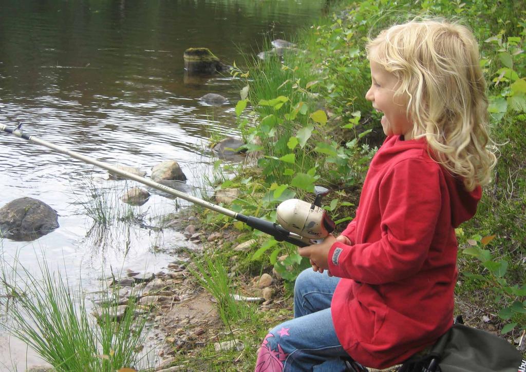 Gjensidigestiftelsen Gjensidigestiftelsen har fem hovedområder de satser på og som din forening bør sikte på ved søknad.