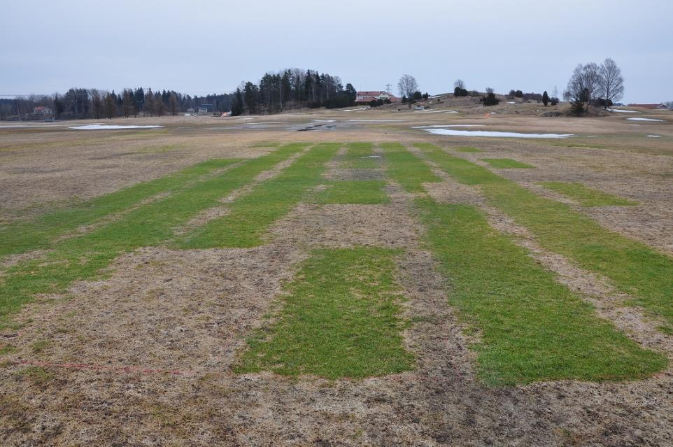 Integrert plantevern betyr at vi velger andre tiltak først og bare sprøyter når det er nødvendig.