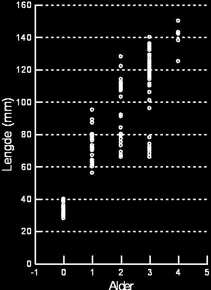 (mm) 212 212 212 2 4 6 8 1 12 14 16 18 Naturlig lengde (mm) Figur 7 Lengdefordeling av ørretunger fanga ved elektrofiske i Ranaelva, Røssåga og Leirelva i september 211 og 212.