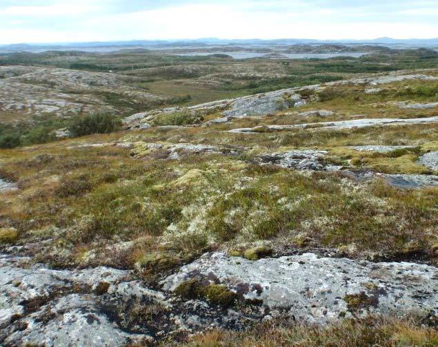 foldene, overveiende i sørvest-nordøstlig retning. På tvers av foldene sprakk fjellet opp. Et viktig sprekksystem ligger i nordvest-sørøstlig retning, stedvis også nord-sør.