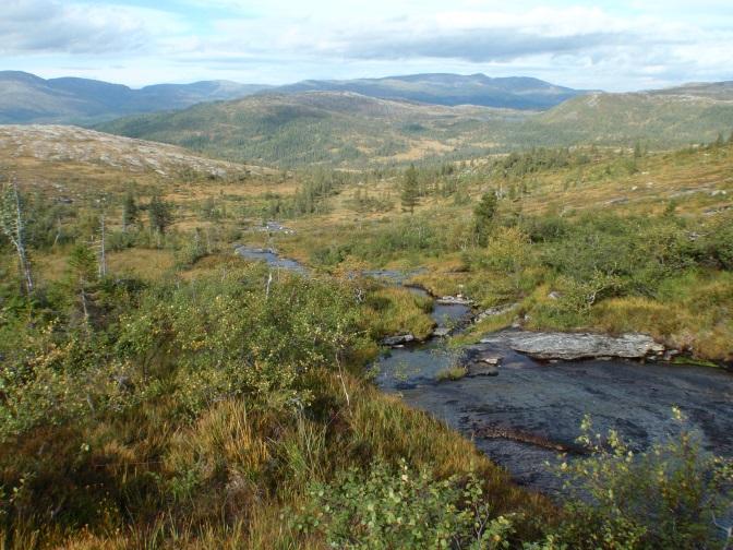 fylket, stedvis med skogløse brattkanter mot fjordflatene. Et annet trekk er at fjordlandskapet er noenlunde jamnhøgt, med få fjell som rager høgt.