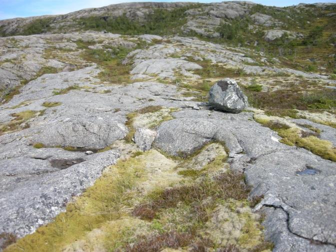 På vestsida av Trondheimsfjorden er også berggrunnen svært mangfoldig.