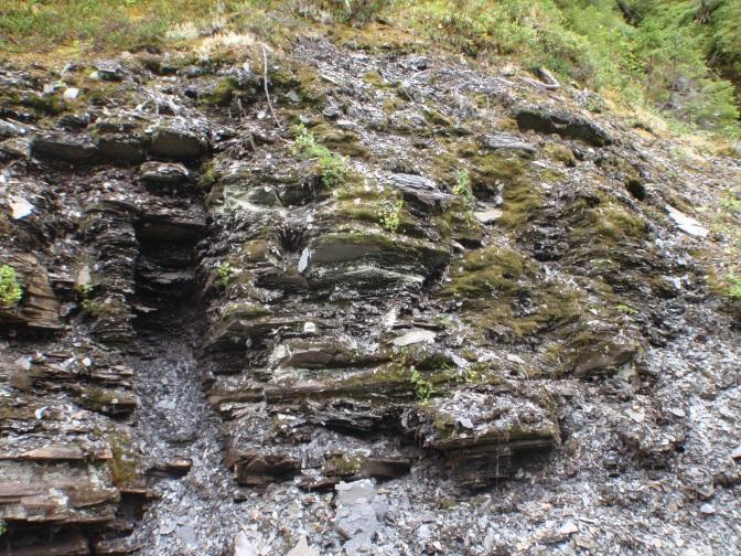 Stort sett den samme bergartsvariasjonen går igjen i Hitra-Snåsaforkastningen lenger vest i Verran og Malm, og som fortsetter i Snåsavatnets nordvestre dalside inntil de når gneiser og granitter i