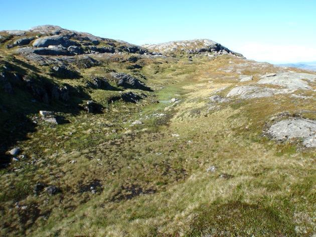 1b Grassnøleie Økologi: Vegetasjonstype i fjellet knytta til lokaliteter med sein snøsmelting, men er tidligere snøfri enn mosesnøleier. Tidspunktet for utsmelting er slutten av juni og først i juli.