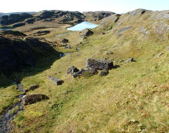 Engsamfunn i fjellet 3a Lågurteng Økologi: Lågurteng omfatter gras- og urterik vegetasjon i fjellet som er lågvokst, artsrik og inneholder mange næringskrevende arter.