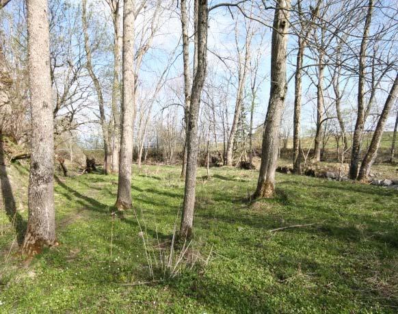 Skogen har gjerne parkpreg med åpen, oppkvista tresetting, grasdominans samt manglende busksjikt og tilvekst av ungskog. Utformingen vil variere med næring og vann i jorda. Areal i fylket Forek.