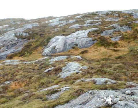 Typen finnes i forskjellig terreng, på strandflater og i mer storbølgende landskap, men også der topografien preges av utallige blotninger, kuler og koller.