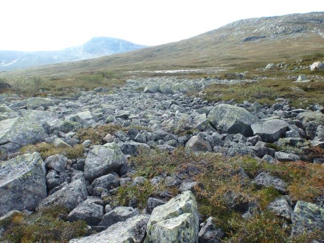 I bratte skråninger kan blokkmassene også være utformet som rasvifter under rasrenner. I fjellet kan mektige blokkmarker være dannet ved oppfrost direkte fra berggrunnen.