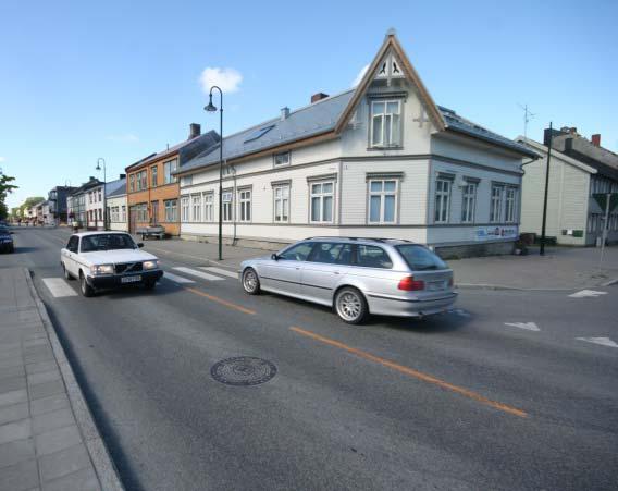 11b Beitevoll Beitevoll har oppstått ved langvarig beitepåvirkning, slått, gjødsling og rydding. Gras og urter som tåler beite og tråkk dominerer over naturlig vegetasjon.