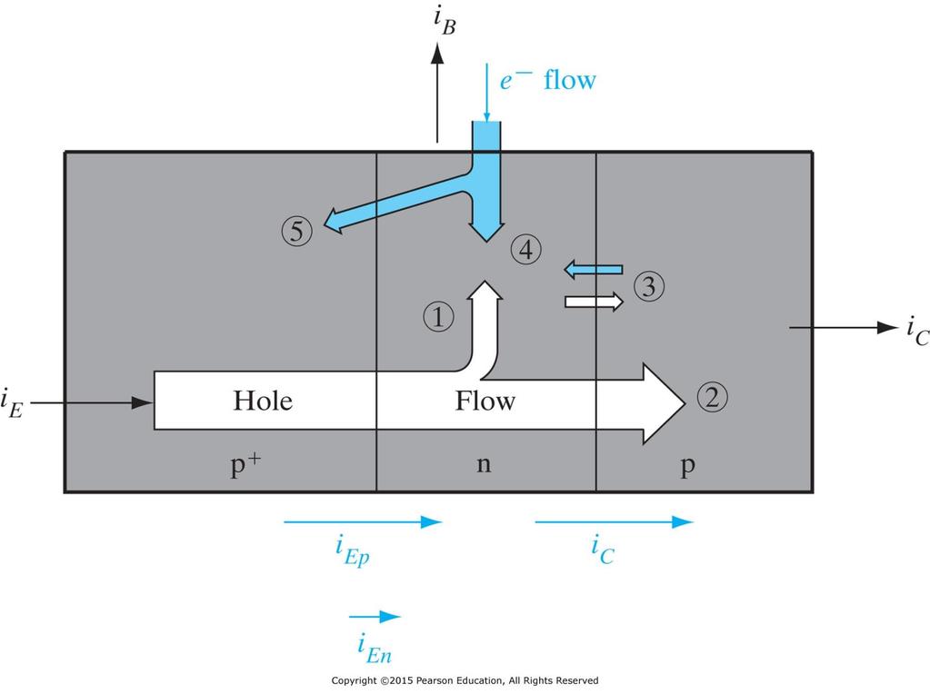 Fluks av e - og h + i BJT Figure 7 3 Summary of hole and electron flow in a p-n-p transistor with proper biasing: (1) injected holes lost to recombination in the base; (2) holes reaching the