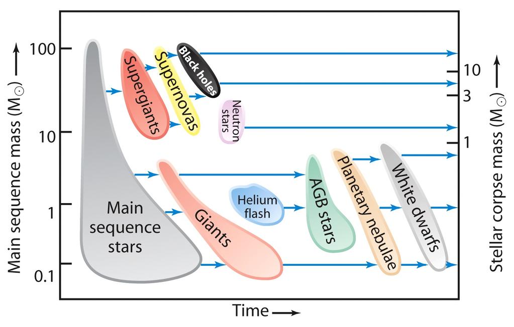 Nøytronstjerne hvis opprinnelig stjerne veier 8-25 solmasser (Mye av stjernas masse tapt i kjernekollaps- supernova.