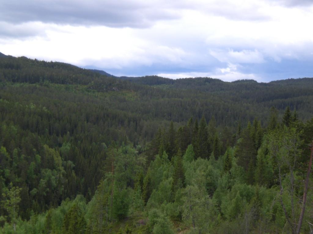I tillegg går en del grusveger/skogsbilveger i øst-vestlig retning mellom gårdsbebyggelsen i dalrommet og skog- og fjellområdene i øst.