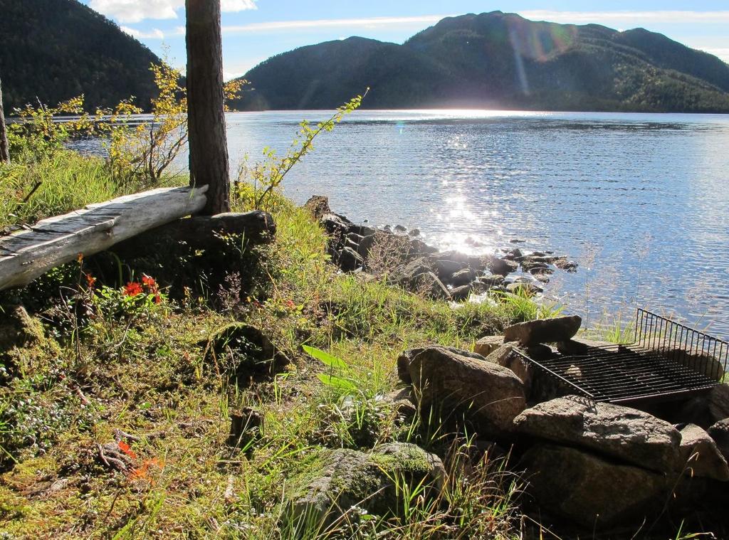 Standardvilkår Konsesjoner fra før 1973 inneholder få hjemler for å pålegge undersøkelser og kompenserende tiltak.