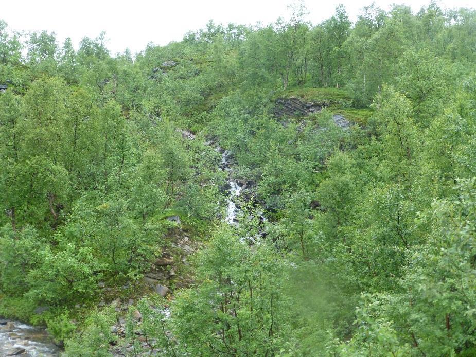 Nederste bildet viser elva som ligger rett sør for