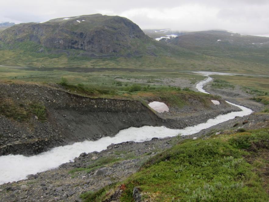 Vedlegg 1 D Veooverføringen