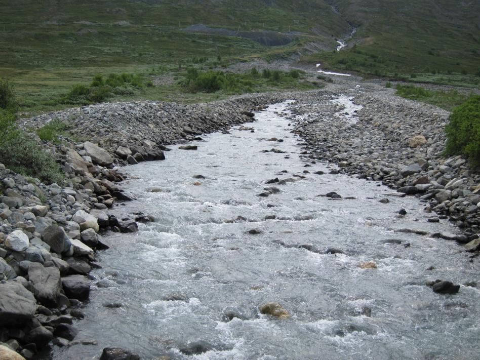 overføringskanalen ved ulike