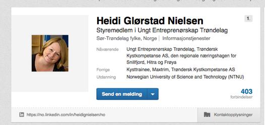 INNOMIDT - TESTING AV LØSNINGER - Retningslinjer for bruk av LinkedIn 2.