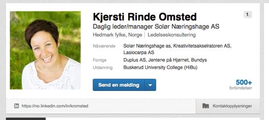 INNOMIDT - TESTING AV LØSNINGER - Retningslinjer for bruk av LinkedIn 4. TITTEL Det må innføres en felles STANDARD for beskrivelse av stillinger i næringshagene.