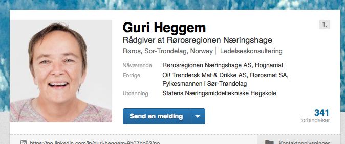 INNOMIDT - TESTING AV LØSNINGER - Retningslinjer for bruk av LinkedIn 6.