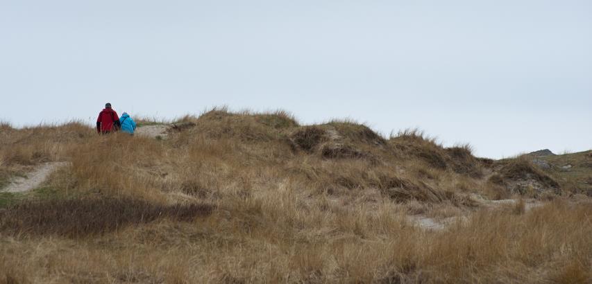 Leplanting Skjøtsel Friluftsliv Det er ingen leplanting i området. Det er fare for frøspredning fra sitkagran på tilgrensende arealer langs vei.