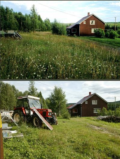 Landskapsendringer slåttemark S