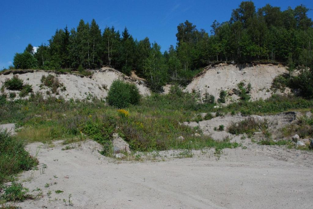 Andre tiltak Unngå brenning av vegetasjon Bevaring av skrotemark Unngå