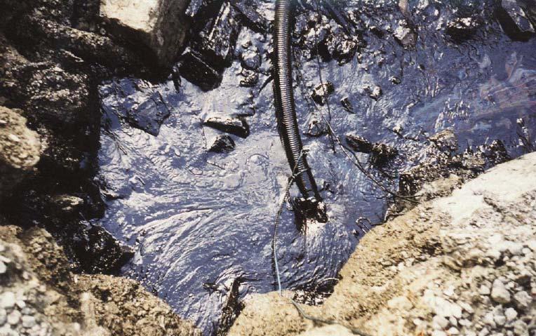 Jekteviken Terminal Miljøtekniske grunnundersøkelser MULTICONSULT Jekteviken i 1997 (NOTEBY-oppdrag 51906). Det ble påvist forurensning av blant annet PAH, PCB og tungmetaller i prøven.