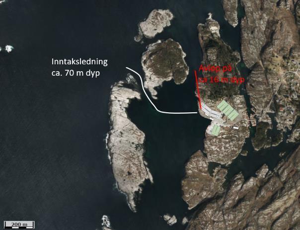 Figur 6. Planlagd posisjon for vassinntak og reinsa utslepp frå Salmo Terra AS sitt planlagde anlegg på Eikeilen.