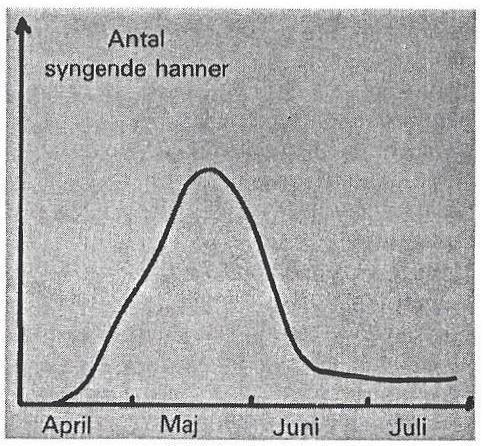 Figur 3: Antall syngende (=uparrede) hanner i en engelsk sivsanger-populasjon. (Omtegnet etter Catchpole) 4.11.