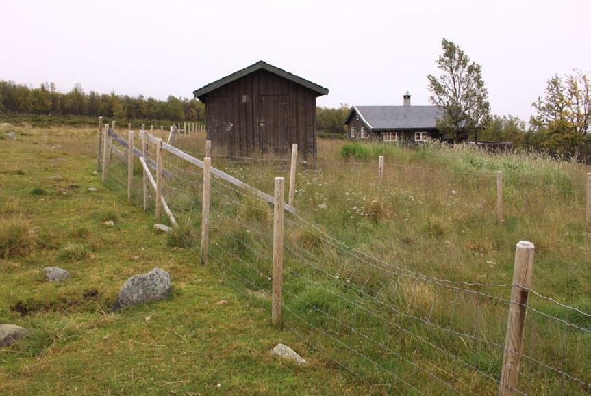 Foto: Geir Høitomt Bruk, tilstand og påvirkning: Lokaliteten ligger innenfor Haldorbuhamninga hvor det i 2012 beitet ca.
