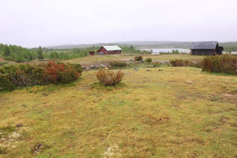 Figur 2. Tronhus beliggende ned mot Sæbu-Røssjøen.
