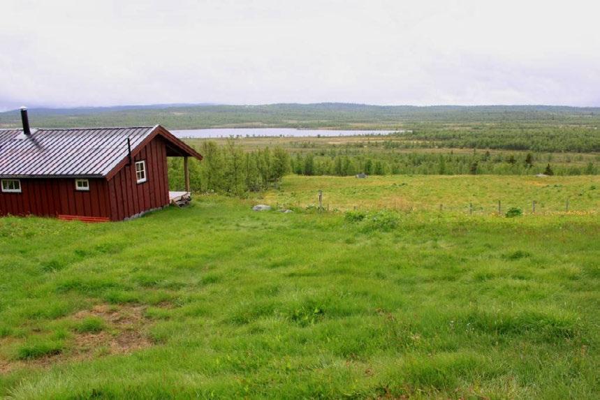 Beliggenhet og naturgrunnlag: Hundslægret ligger innenfor Storlægret landskapsvernområde, i Skrautvål Sameige i Nord-Aurdal