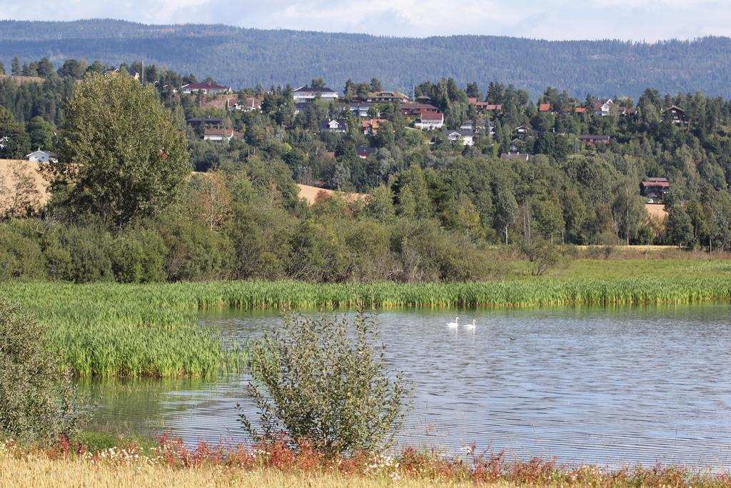 Naturverdier av nasjonal og