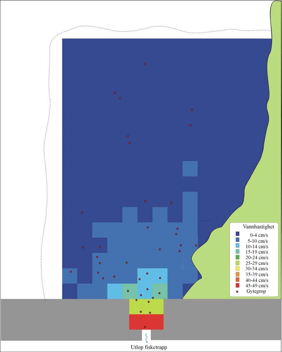 Figur 9. Skisse over laksens plassering av gytegroper i forhold til tilgjengelig vannhastighet på området med utlagt grus oppstrøms terskelen v/strubru i Nidelva, Aust-Agder.