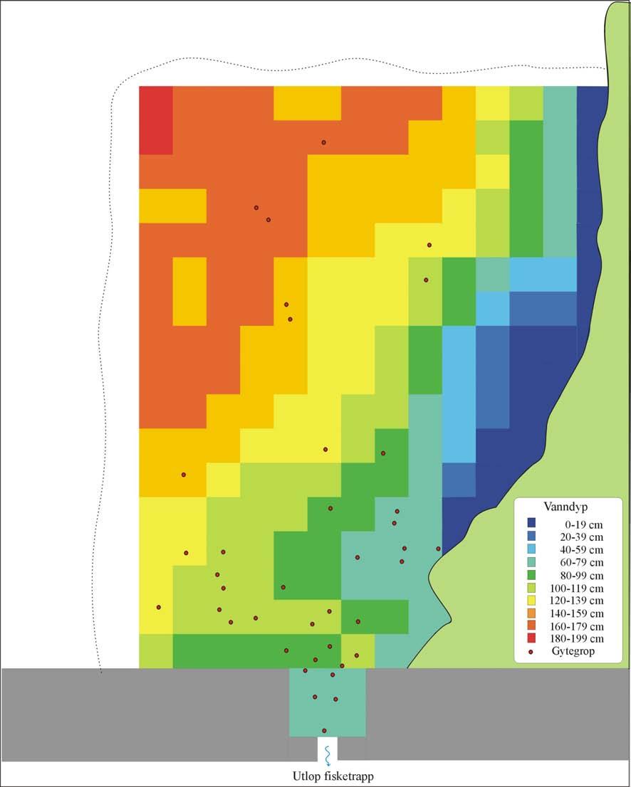 Figur 10. Skisse over laksens plassering av gytegroper i forhold til tilgjengelig vanndyp på området med utlagt grus oppstrøms terskelen v/strubru i Nidelva, Aust-Agder.