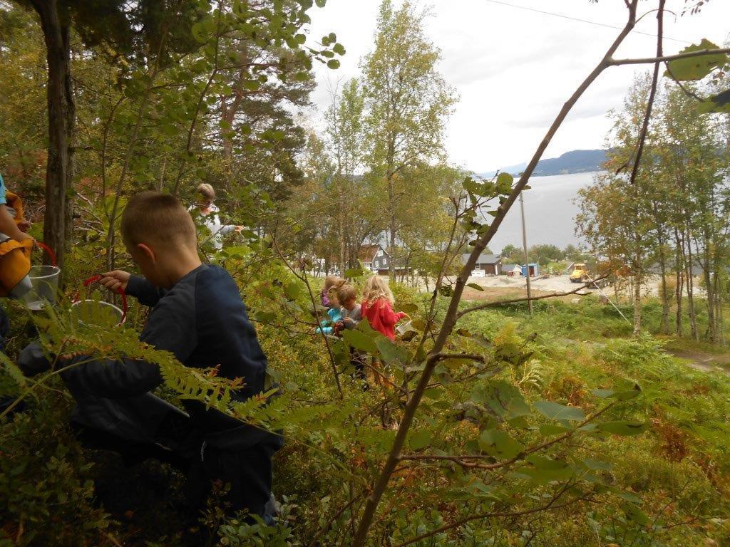 2.11. Dokumentasjon Kunnskap om arbeidet til personalet og verksemda til barna i barnehagen er viktig som grunnlag for utviklinga i barnehagen.