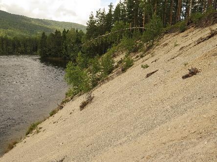 Flesberg; Bakkerudevja- dellokalitet C, UTM 32 V 519972 6641711 Dette området