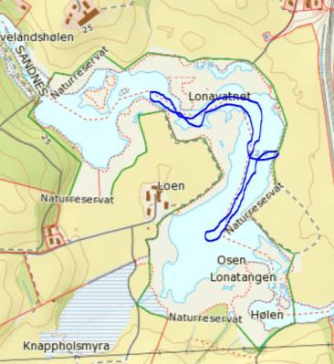 Denne kortskuddenga synes å være en sørlig utforming av kortskuddstrand, rik utforming (O1b) se Fremstad (1997).