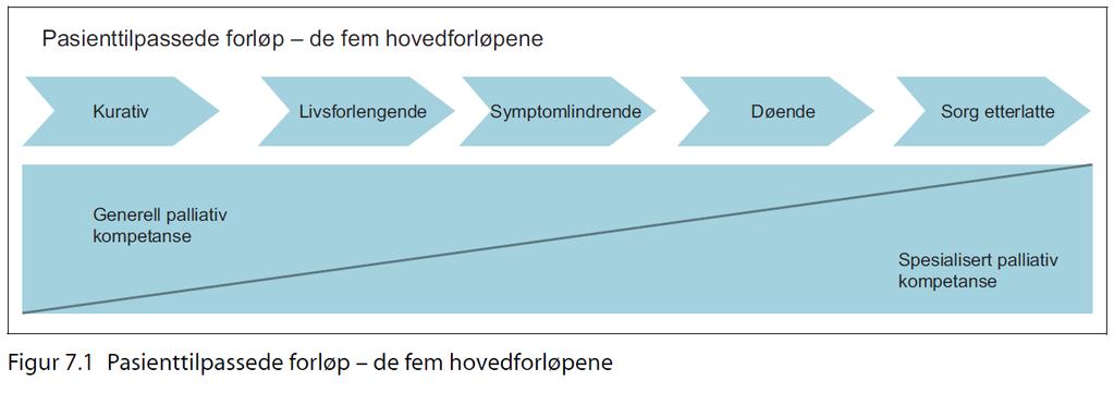 Fem hovedforløp Palliasjon i utdanningene Rett kompetanse - på rett sted - til rett tid I grunnutdanningene Tverrfaglige vurderinger Rett kompetanse hos mange helsearbeidere Spesialistutdanning Leger