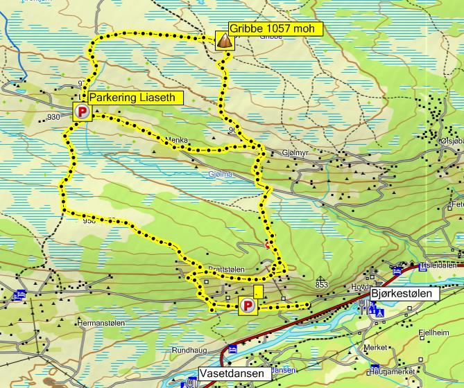 4 Gribbe - Tisleidalen 1057 moh Lengde: ca. 12 km totalt Tidsbruk: ca. 3 timer Stigning: ca. 200 høydemeter Egnet for barn: fra 7-8 år Fra E16 ta av Fv 51 mot Gol.